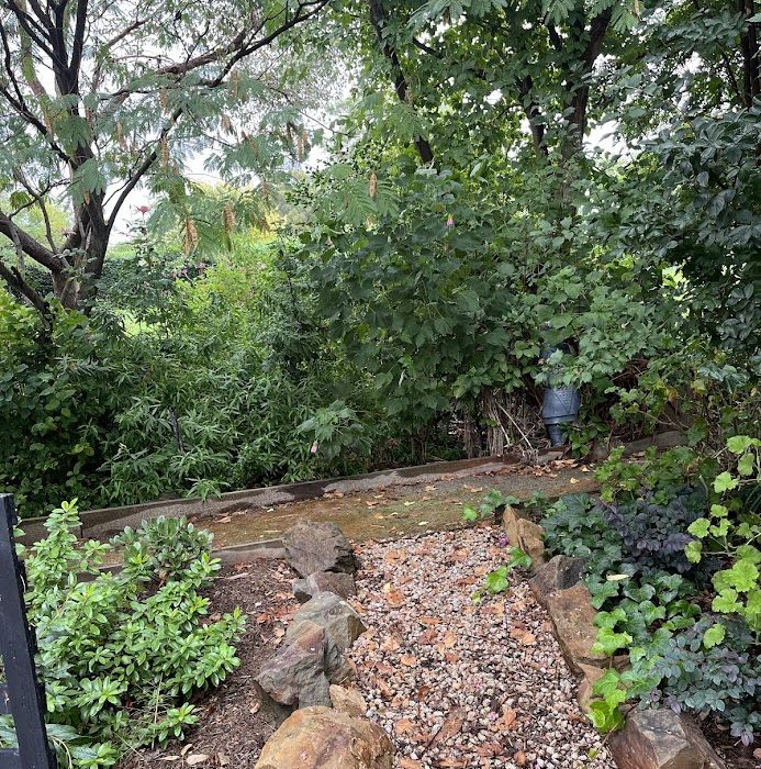garden 4 (002)